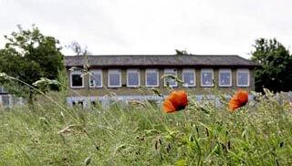 byudvikling